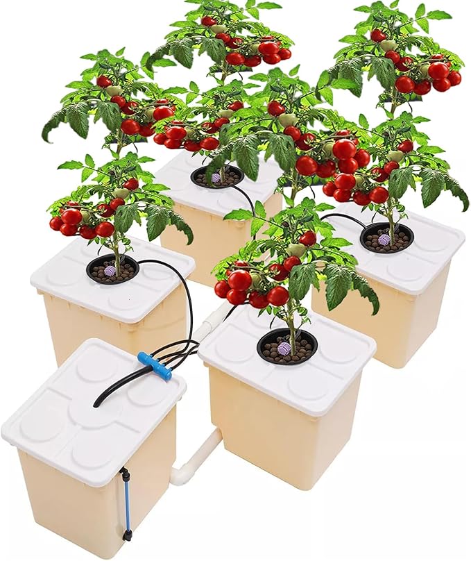 DWC Hydroponics Grow System Kit with 5-Bucket /2.91-Gallon Deep Water Culture Triangular Cover Design Recirculating Top Drip Kit 4W Air Pump with Hose（Including Cultivation Soil ）