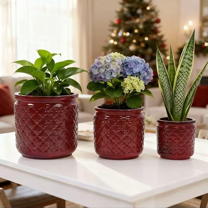 Handmade Ceramic Planter Set of 3 15129 Inch Diameter Diamond Pattern for Orchids Indoor Plants Windowsill Bookshelf Use Breathable Clay