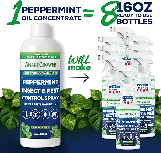 Peppermint Insect &amp Pest Control Best Value Concentrate - Repels Insects &amp Pests for Home Indoor Outdoor Garden - Maximum Strength Concentrate (Makes Two Gallons RTU) 16 oz