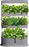 Generic Vertical Garden Planter with Remote Control Smart Hydroponics Planter for Indoor Vegetables &amp Fruits - 4 Layered LED Glow Lights Intelligent Water Cycle