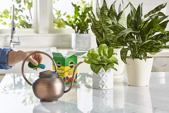 Miracle-Gro Water Soluble All Purpose Plant Food - Fertilizer For All Indoor or Outdoor Plants including Roses Flowers Vegetables Houseplants Trees and Shrubs 1.5 lbs. (6-Pack)