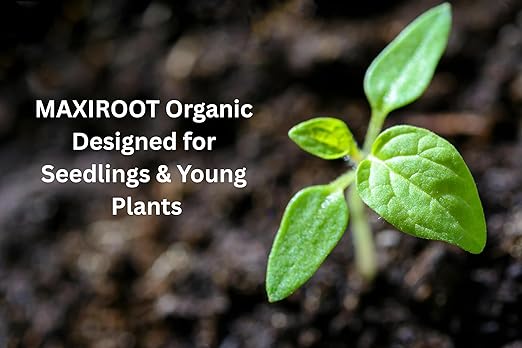 Organic Seedling Solution Liquid Fertilizer for Seedlings Cuttings &amp Clones – Natural Seaweed &amp Fish-Based Plant Food for Strong Root Growth. 32 oz