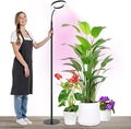 20W Indoor Plant Grow Light with Embedded Controller Red Blue Warm Full Spectrum 95 LED Bulbs Adjustable HeightAuto TimerDimmable Halo Growing Stand Lmap for Tall Large Small Plant Growth