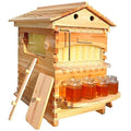 Continuous Flow Honeycomb Kit with Observation Window and Honey Extraction Port Integrated Honey Collection System Beehive-Style Box with 7 Honeycomb Cells Suitable for Beginners and Experts
