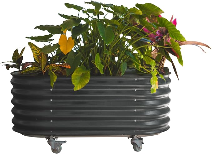 Vego garden 2 x 4 ft Self Watering Rolling Garden Bed-Modern Gray