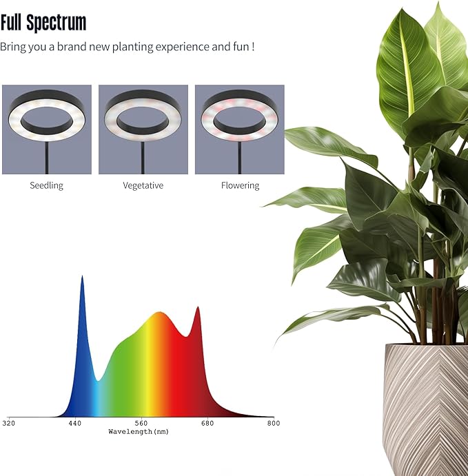 GLOWRIUM Grow Lights for Indoor Plants 36W Full Spectrum 2-Head LED Plant Light with Stand Adjustable Height 3/9/12H Timer 6 Dimmable Levels &amp 3 Lighting Modes(Black-Double Head)