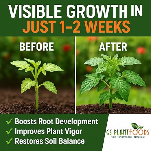 GS Plant Foods Root Ruckus Compost Fertilizer Organic Plant Food - Turbo Charged Compost for Plants - Humic Acid &amp Sea Kelp Nutritional Root Supplement for Lawns Soil Shrubs &amp Vegetables - 3