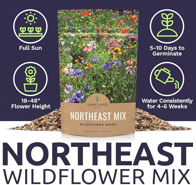 Sweet Yards - Northeast Wildflower Seed Regional Mixes - Bulk 1/4 Pound Bag - Over 30000 Native Seeds - Open Pollinated and Non GMO Varieties for New York Virginia Pennsylvania Maine and More!