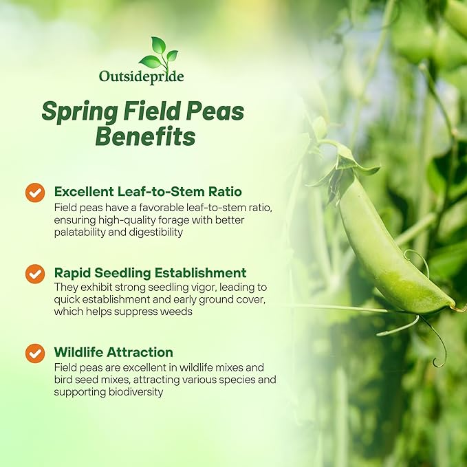 Outsidepride Dundale Spring Field Peas Seeds - 10 lbs. Annual High-Protein Legume &amp Cover Crop Seeds for Forage Food Plot Gardens &amp Pastures - Ideal for Improving Soil Health &amp Erosion