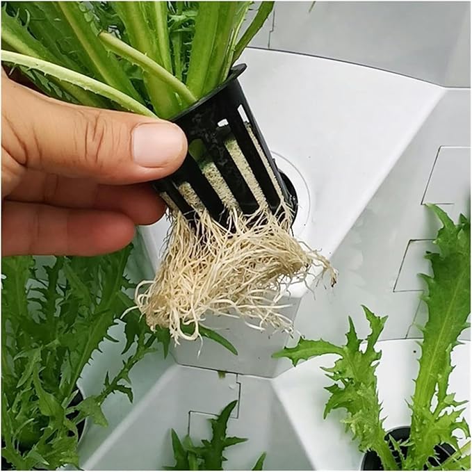 Hydroponics Growing Hydroponic Grow KitHydroponics Growing Smart Hydroponics Vertical Garden Grow Kit Tower Indoor Outdoor for Planting