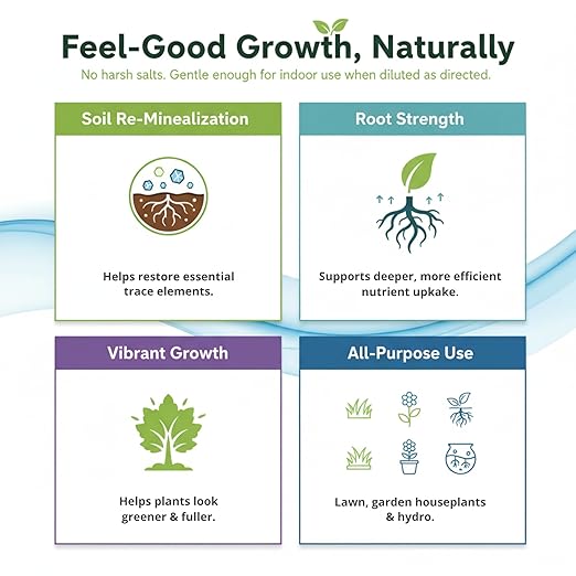Ocean Magic Sea Mineral Fertilizer by GS Plant Foods(1 Gallon) - Soil Mineral Health Improvement Liquid Concentrate - Sea Minerals for Lawn and Turf Gardens &amp House Plants