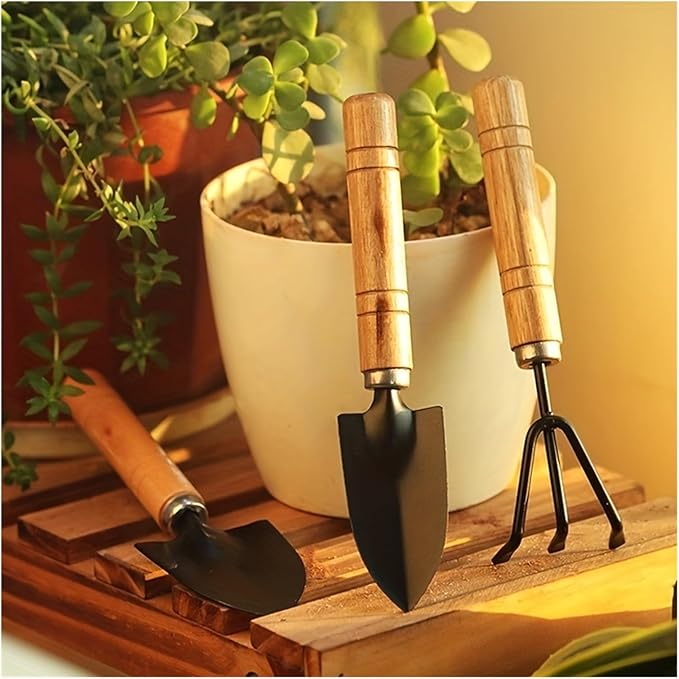 3pcs Garden Tool Set - Succulent Plant Shovel Rake and Shovel for Loose Soil and Flower Gardening