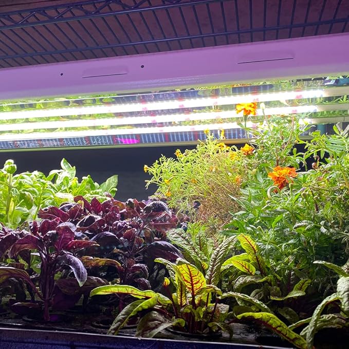 Active Grow T5 High Output 4FT LED Grow Light Bulb - T5 Grow Lights for Indoor Plants Seed Starting &amp Compact Plant Growth - 24W - Sun White Pro Full Spectrum - Plug &amp Play - 4-Pack