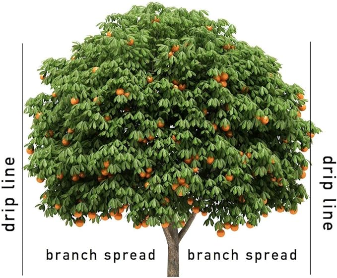 Jobe's 01612 15 Pack 9-12-12 Fruit &amp Citrus Tree Spikes - Quantity 4