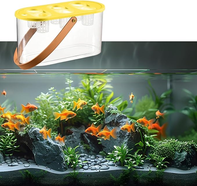 Hydroponics Grower Box with 6 Holes Hydroponic System Indoor Tabletop Mini Aquarium for Plants- Yellow