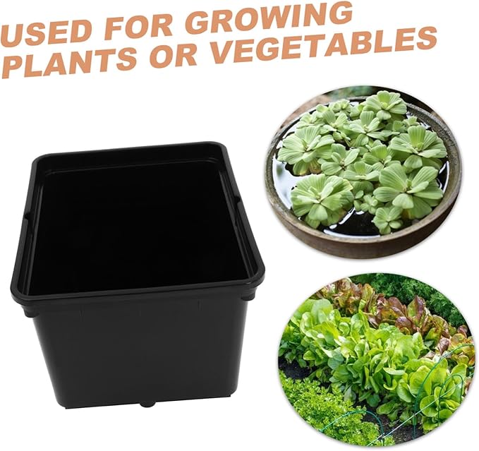 POPETPOP 1set Soilless Cultivation Barrels for Hydroponic Gardening Vegetable and Fruit Planting Nursery Boxes Black No Lid for Indoor and Outdoor Plant Growth