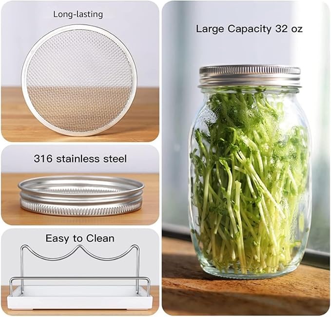 Sprouts Bean Sprouts Grow Kit Air Circulation and Drainage Multipurpose Growing Kit with 2 Bottles for Beans Alfalfa Seeds Modern Sprout