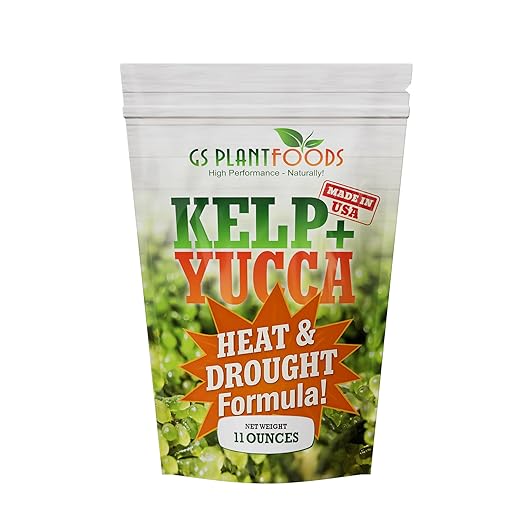 GS Plant Foods Kelp + Yucca Plant Fertilizer &amp Soil Conditioner – Heat &amp Drought Protection Formula for Vegetables Lawns Gardens &amp Houseplants (11 oz Dry Concentrate)