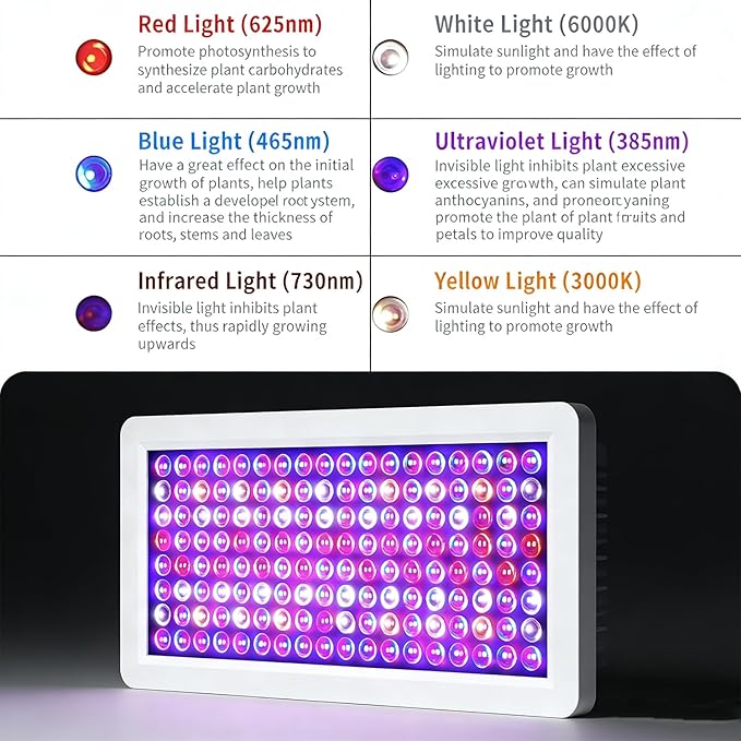 LED Plant Grow Light BW1000 Dimmable Grow Lights Full Spectrum Hanging Growing Lamps for for Indoor Plants Greenhouse Seedlings Vegetables FlowersLarge (B2-2000W)