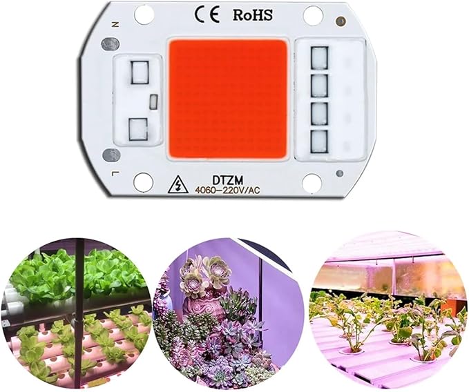 2pcs AC220V 10W 20W 30W 50W LED Grow COB Chip Phyto Lamp Full Spectrum for Indoor Plant Seedling Grow and Flower Growth Lighting DIY(Full Spectrum_30W 60X40MM)