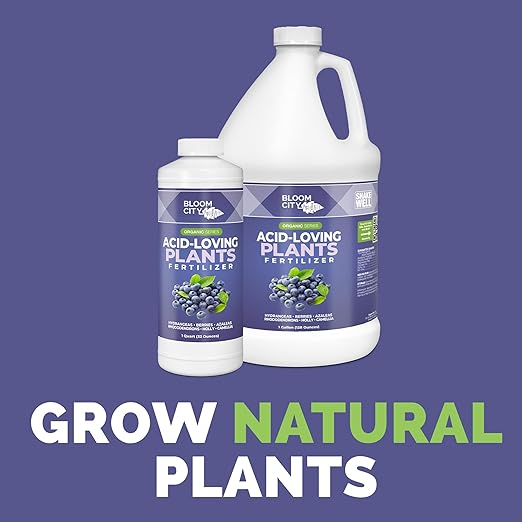 Bloom City's Acid-Loving Plant Fertilizer - Soil Acidifier - for All Acid Loving Plants Gallon (128 oz)