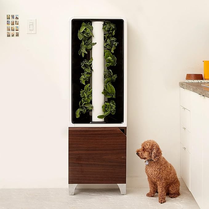 Just Vertical EVE Tower Garden | Hydroponic Growing System | Grow 12 Fresh Herbs &amp Vegetables Year-Round | Self-Watering Energy-Efficient LED Compact Design Fully Assembled | Walnut
