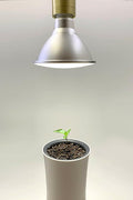 Botanium 15W LED Grow Light with E27 Socket - Plant Light for Indoor Plants Full Spectrum Neutral White Hue Highly Efficient Year-Round Use