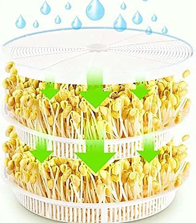 Electric Bean Sprout MachineIntelligent Seed Germination KitIntelligent Constant Temperature1.25L Large Capacity Water Tank Ideal for Sp