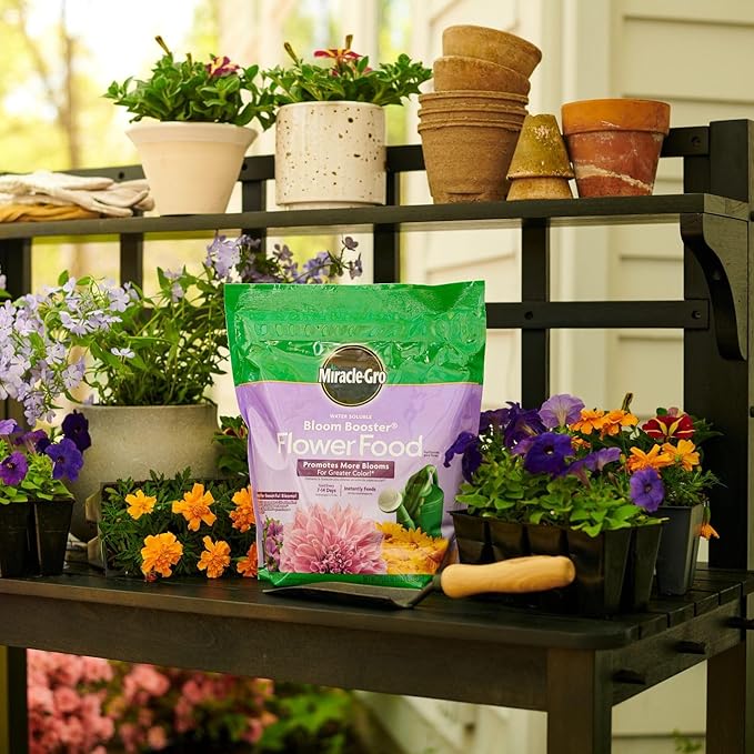 Miracle-Gro Water Soluble Bloom Booster Flower Food Plant Food for Annual and Perennial Flowers In-Ground and Container Plants Roses Hydrangeas Hibiscus 5.5 lb.