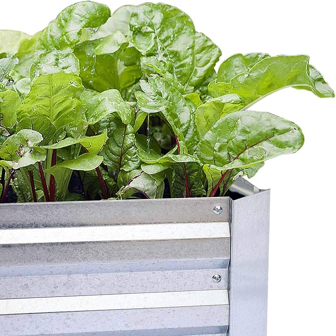 Galvanized Raised Garden Beds for Vegetables Large Metal Planter Box Steel Kit Flower Herb (6 x 3 x 1 ft * 2 Pack Galvanized)