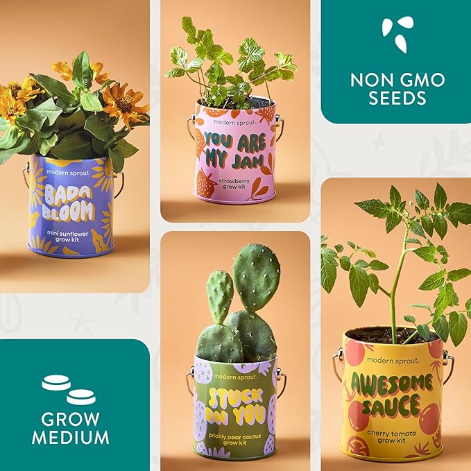 Modern Sprout Complimentary Color Grow Kits (Pack of 4) - Seed Starter Kit - Includes Organic Strawberry Tomato Sunflower &amp Cactus Seeds - Easter Basket Essentials - Gardening Gifts that Grows w/L