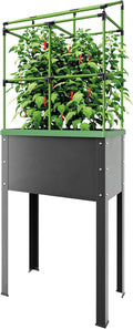 BioGreen Raised Garden Bed with Trellis Heidelberg | 11 gal | 1“L x 2.3“W x 7.6“H | Self-Watering Metal Planter Box | Ideal Growth for Climbing Plants