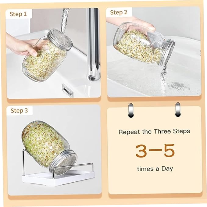 Sprouts Bean Sprouts Grow Kit Air Circulation and Drainage Multipurpose Growing Kit with 2 Bottles for Beans Alfalfa Seeds Modern Sprout