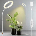 One Head Grow Light for Indoor Plants Full Spectrum - Floor Standing Plant Lamp with Auto Timer 6/12/18H 5-Level Dimmable &amp Adjustable Height 16.5-68in for Large Tall Plants | White
