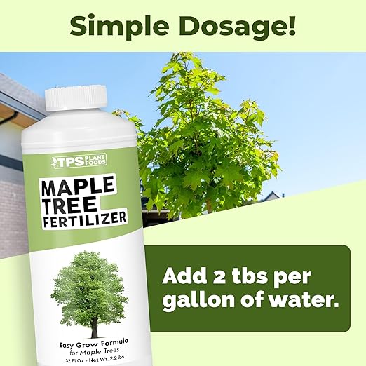 Maple Tree Fertilizer – Liquid Plant Food for Vibrant Color Stronger Roots &amp Healthy Growth 32 oz