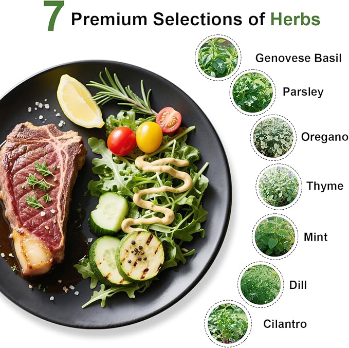 Gourmet Herbs Seed Pod Kit for AeroGarden iDoo Ahopegarden MUFGA Hydroponics Garden with Basil Parsley Thyme Mint Cilantro Dill Oregano - Compatible with All Hydroponics (12-Pod)