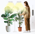 GLOWRIUM Grow Lights for Indoor Plants 36W Full Spectrum 2-Head LED Plant Light with Stand Adjustable Height 3/9/12H Timer 6 Dimmable Levels &amp 3 Lighting Modes (White-Double Head)