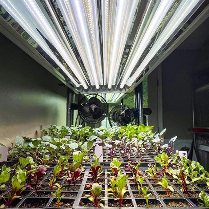Active Grow T5 High Output 4FT LED Grow Light Bulb - T5 Grow Lights for Indoor Plants Veg Bloom Leafy Greens &amp Microgreens - 24W - Sun White Full Spectrum High CRI 95 - Plug &amp Play - 4-Pack
