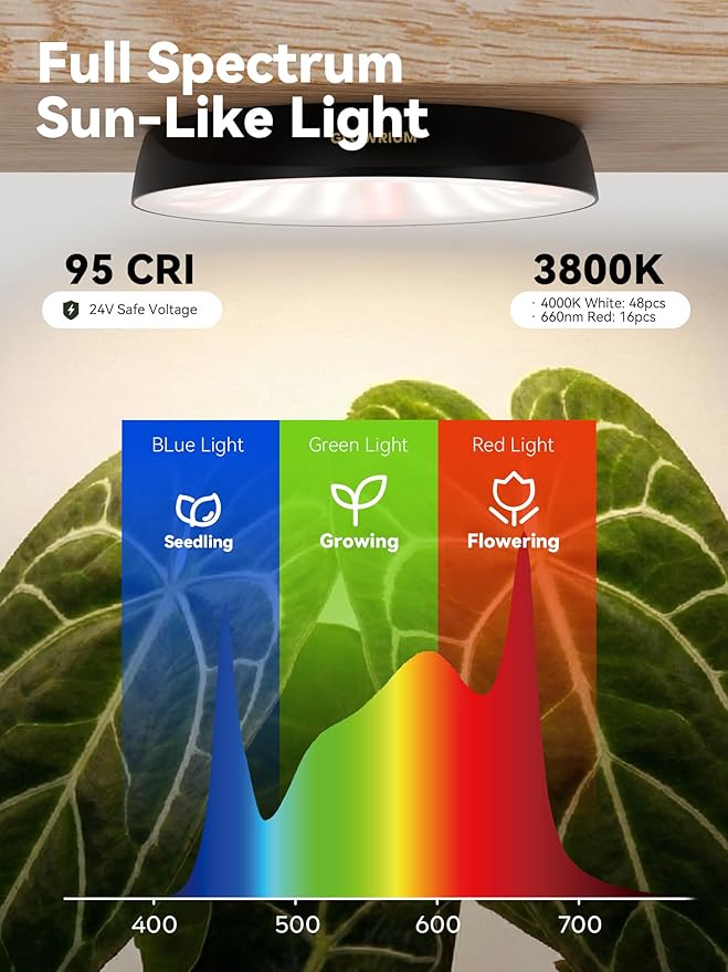 GLOWRIUM Grow Lights for Indoor Plants Full Spectrum Puck Grow Light with Manual &amp APP Control 16W(2 x 8W) Plant Lamp Auto-Timer Plant Assistant 10 Levels Dimmable for Plant Shelf (2 PacksBlac