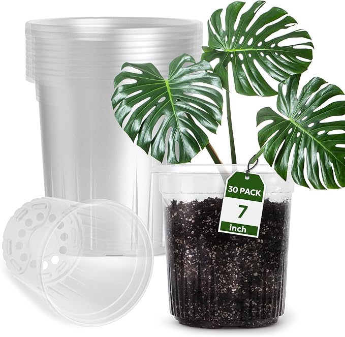 30 Packs 1 Gallon Reinforced Clear Nursery Pots with Drainage Holes 7 Inch Transparent Plastic Plant Pot Seedling Planter for Vegetable Propagation Root Cutting Seed Starting