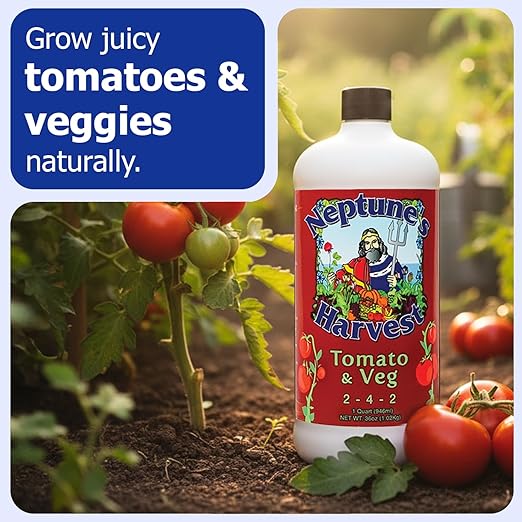 Neptune’s Harvest Organic Tomato &amp Vegetable Plant Fertilizer (2-4-2) - Liquid Plant Food w/Fresh Fish Seaweed Molasses Yucca Extract &amp Humic Acids - for Vegetable Garden (Quart (2 Pack))