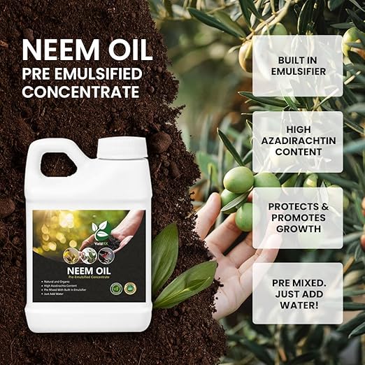 Ready-to-Use Concentrat Neem Oil - Unscented - High Azadirachtin Content Ready-to-Use with Water (1 Gallon)