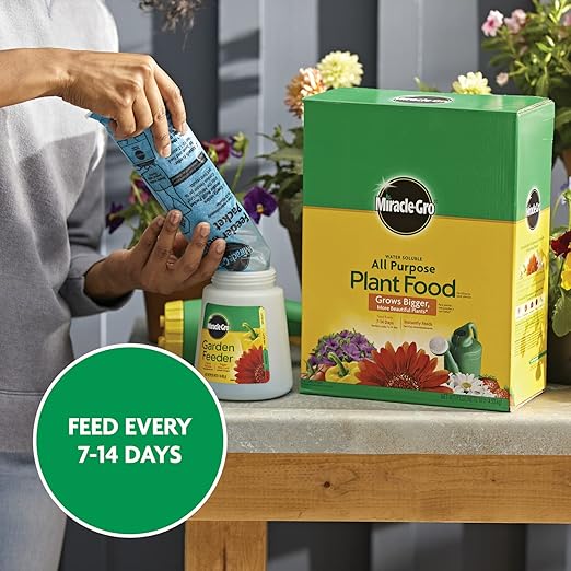 Miracle-Gro Water Soluble All Purpose Plant FoodPlant Fertilizer for Indoor or Outdoor PlantsRosesFlowersHouseplantsVegetables and Trees10 lb.(Pack of 4)