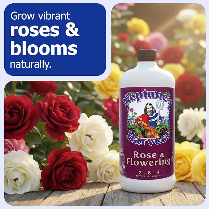 Neptune's Harvest Rose &amp Flowering Fertilizer (2-6-4) - 36oz Bottle - Organic Liquid Food for Vibrant Blooms &amp Growth - Promotes Healthy Foliage - Ideal Fertilizer for Indoor &amp Outdoor Use