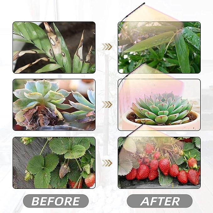 DOOK Grow Light with Stand Full Spectrum Plant Grow Lights for Indoor Plants 3 Switch Modes 10 Dimmable Levels Adjustable Tripod Stand &amp Gooseneck Auto On/Off Timer