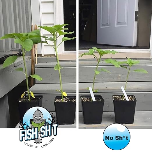Fish Head Farms Organic Soil Conditioner - Organic Fertilizer for Increased Yield and Flavor - Plant Fertilizer Plant Nutrients for Soil Soilless Hydroponic Farming - Garden - 10L