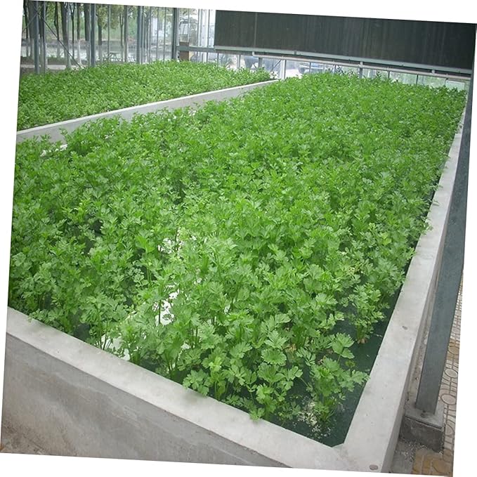 POPETPOP Soilless Cultivation Kit Greenhouse Hydroponic Tower Basket Sponge Planting Tray