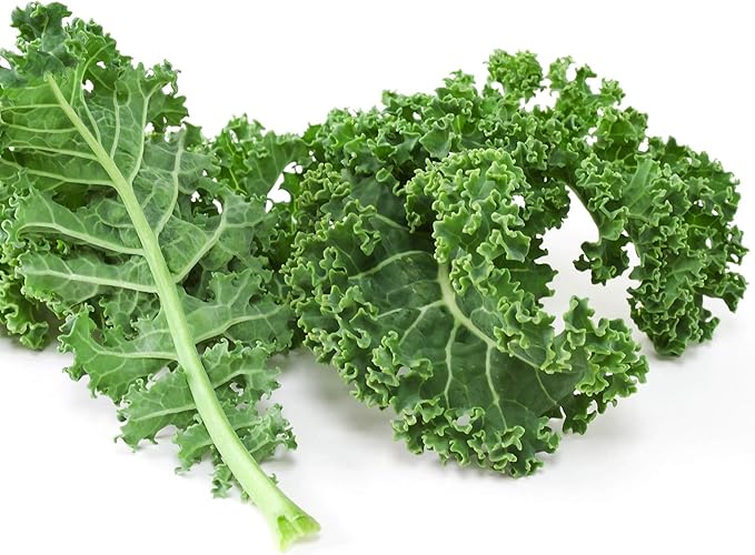 Vates Blue Scotch Curled Kale Seeds: 25 Lb - Bulk Non-GMO Seed for Growing Micro Greens Vegetable Gardening Grow Leafy Greens