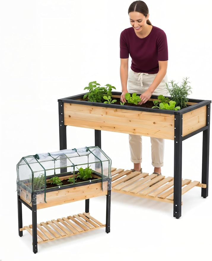 GOJ Raised Garden Bed Wood 48x24x32 inch with Greenhouse &amp Lockable Wheels - Elevated Wood Planter Box for Outdoors Vegetable Flower Bed Herb Planter - 400 lbs Capacity