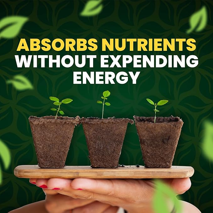 GreenGro Green Aminos Rooting Stimulator Blend with Amino Acids and Nutrients for Potting Mix Soils Cuttings and Hydroponic Gardens Organic Plant Food for Indoor and Outdoor Plants